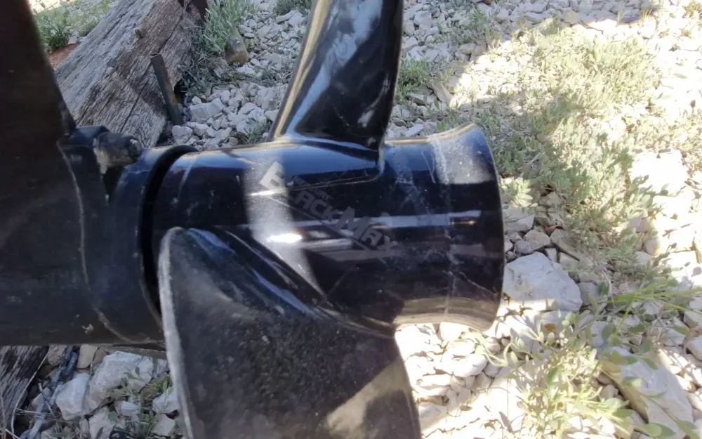 slider 12 White Shark  175