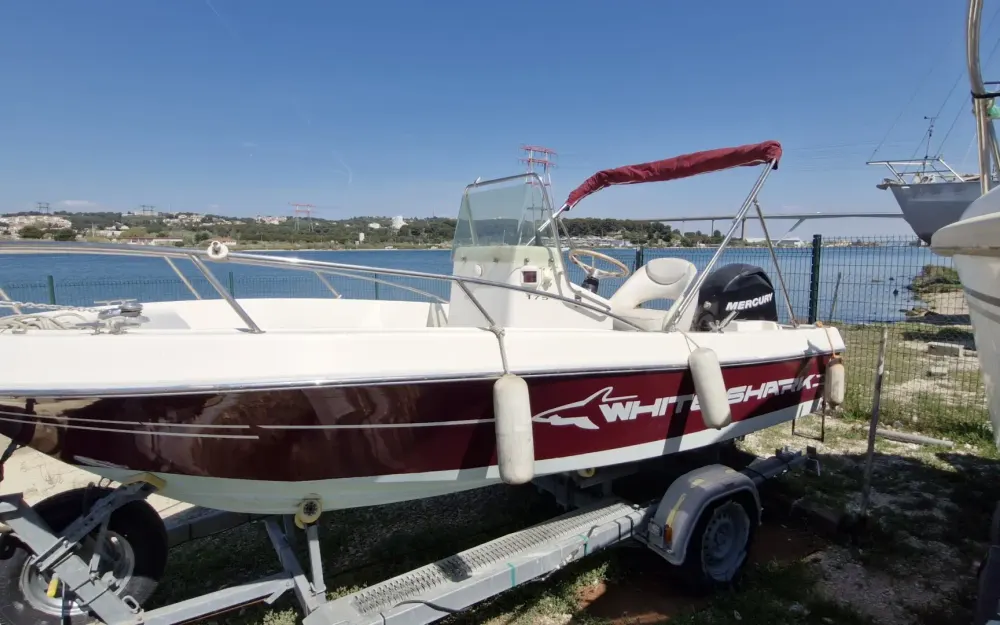 slider 2 White Shark  175