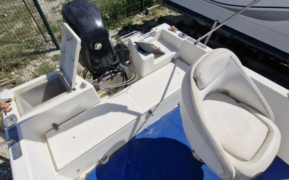 slider 6 White Shark  175