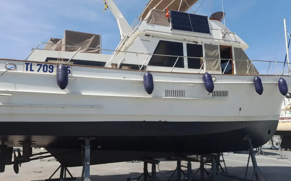 slider 17 Ocean Alexander  38