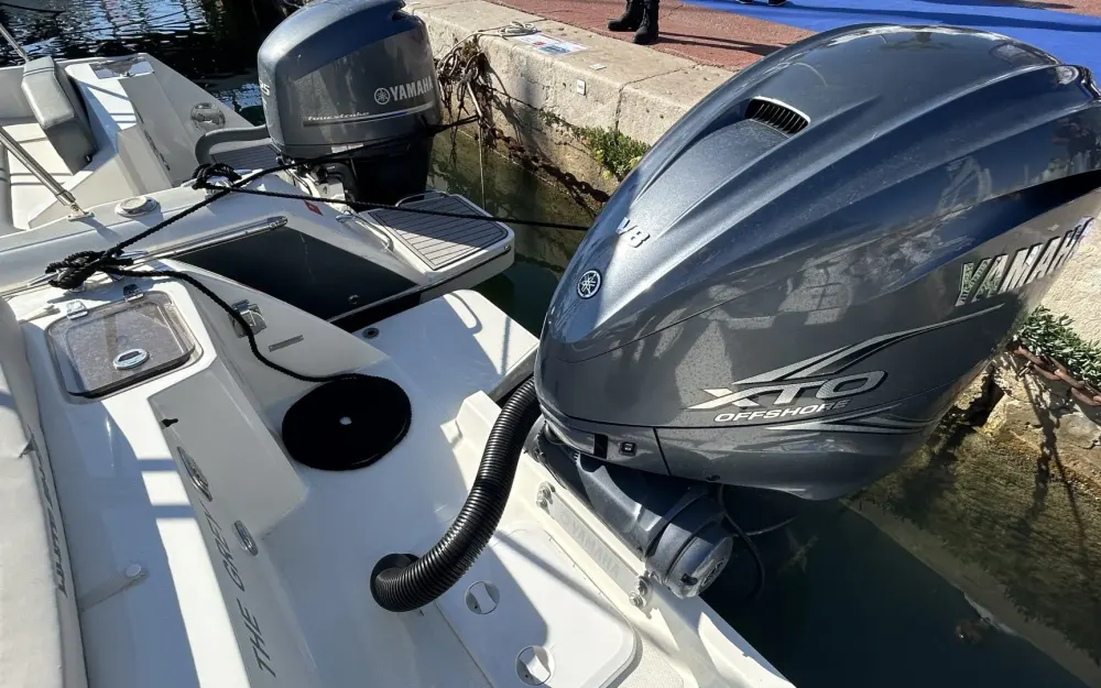 slider 19 White Shark  280 CC Evo