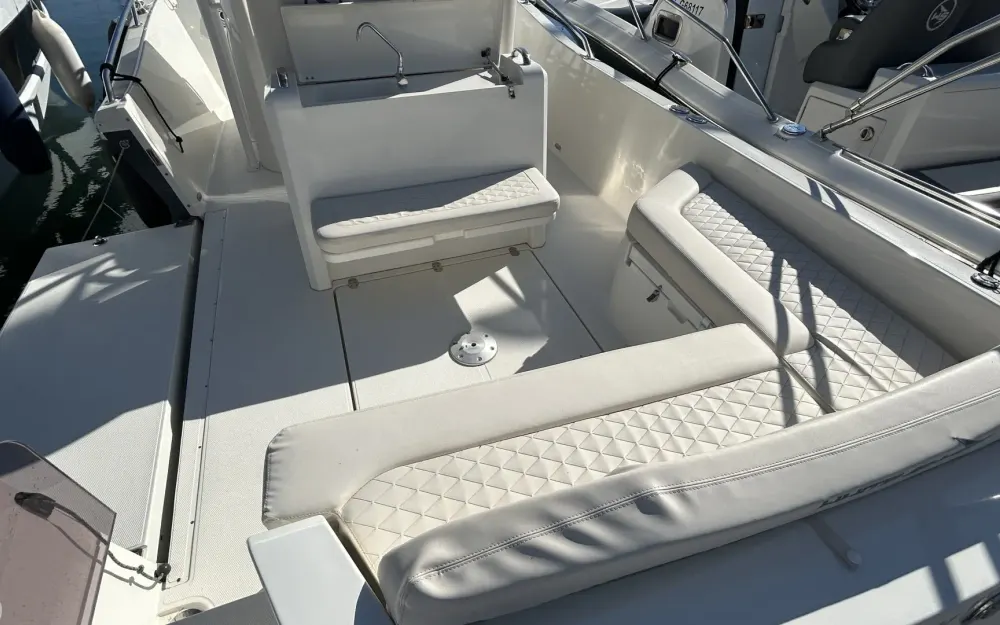 slider 6 White Shark  280 CC Evo