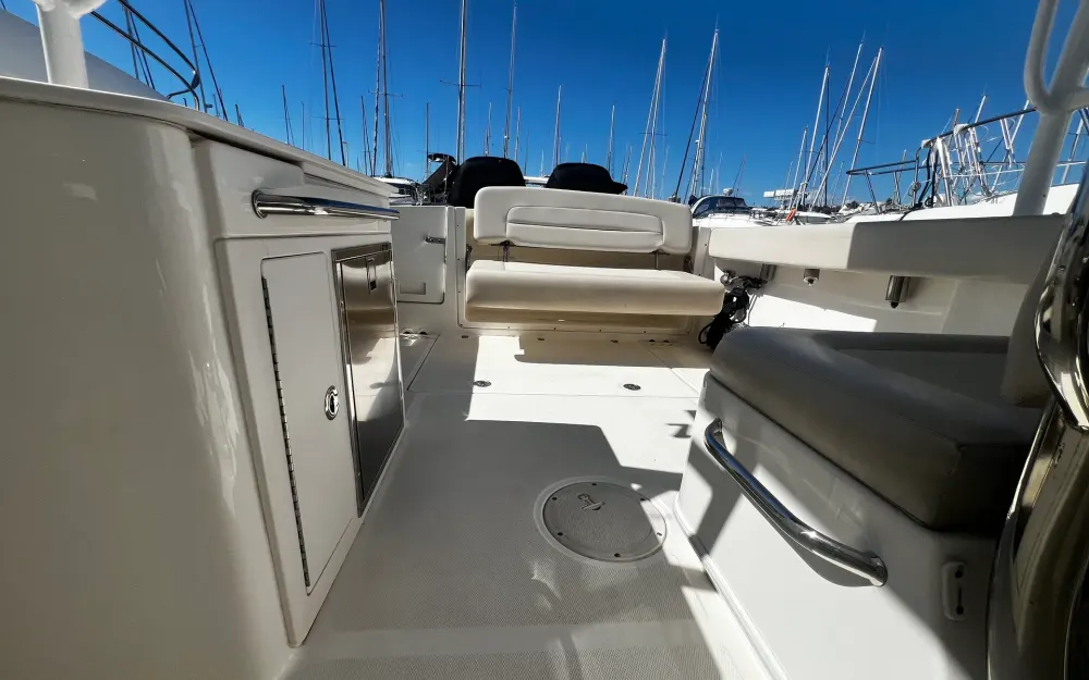 slider 11 Boston Whaler  270 Vantage