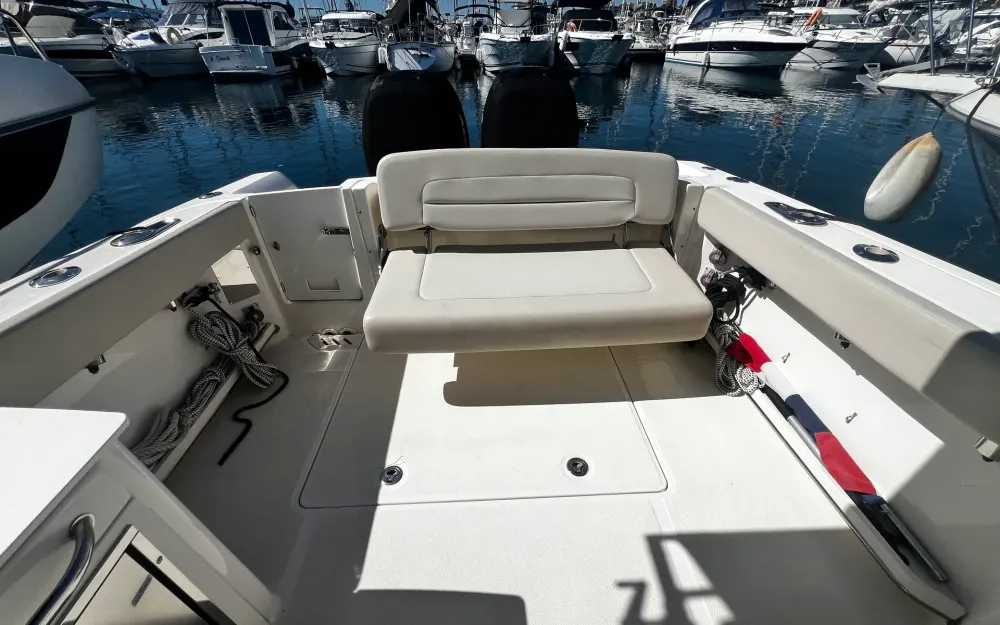 slider 13 Boston Whaler  270 Vantage