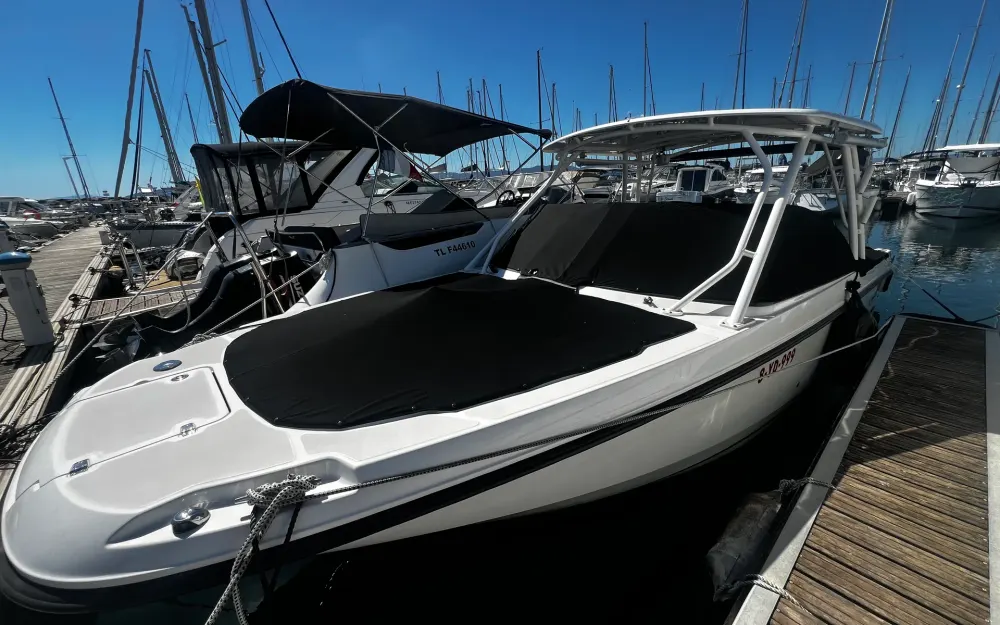 slider 0 Boston Whaler  270 Vantage