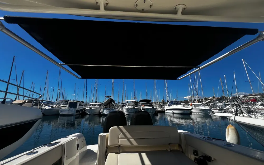 slider 19 Boston Whaler  270 Vantage