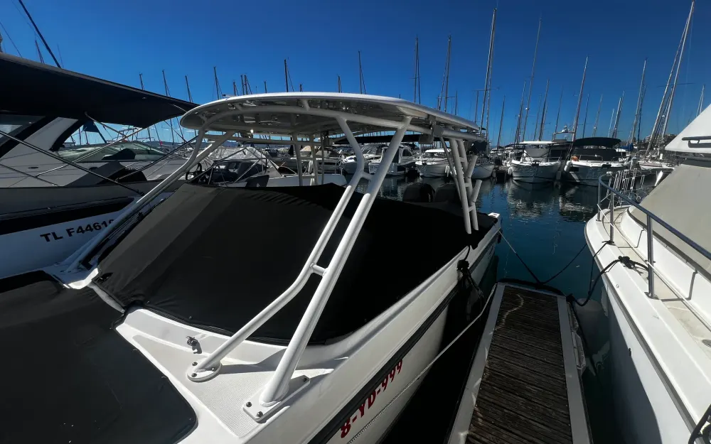 slider 1 Boston Whaler  270 Vantage