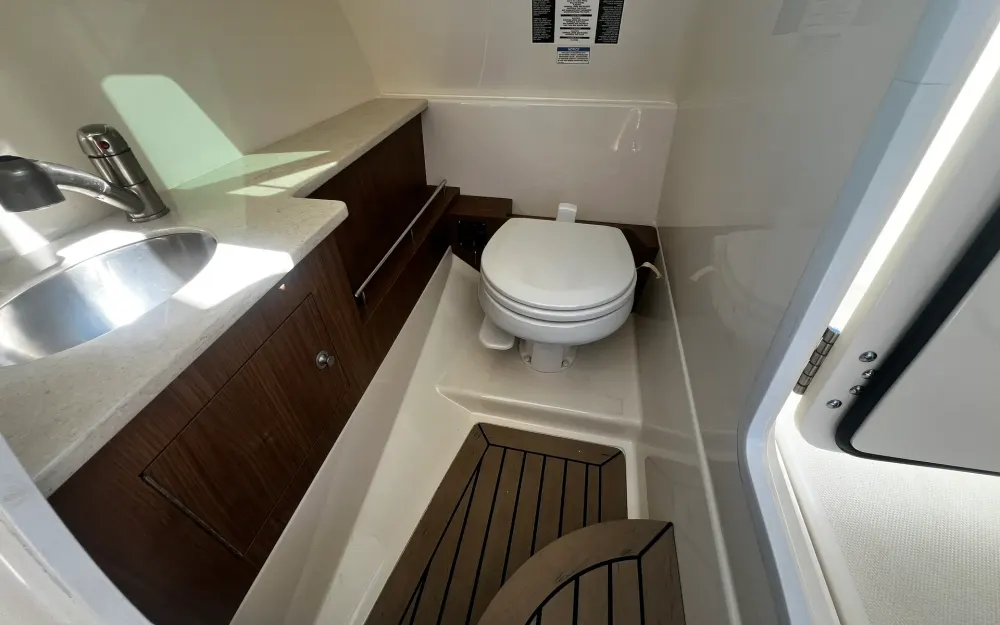 slider 3 Boston Whaler  270 Vantage