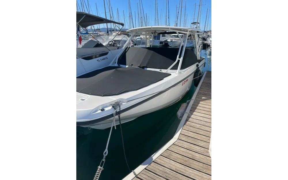 slider 65 Boston Whaler  270 Vantage