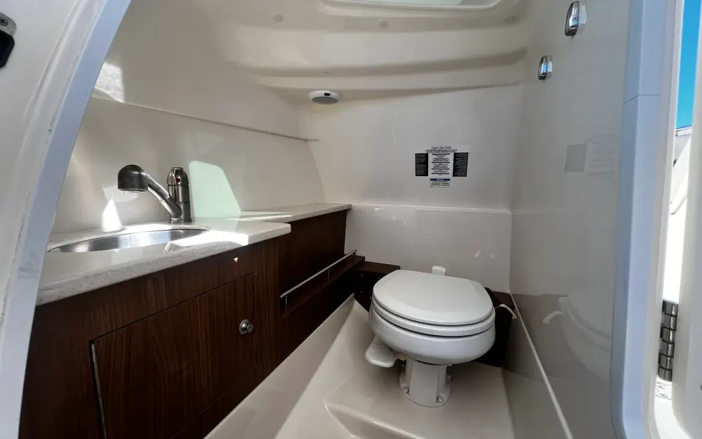slider 5 Boston Whaler  270 Vantage