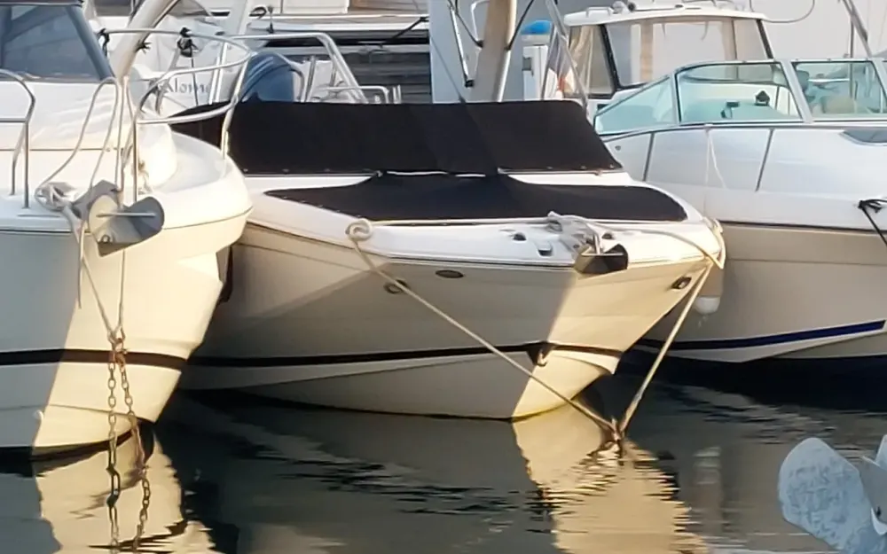 slider 0 Regal 2300 bow rider