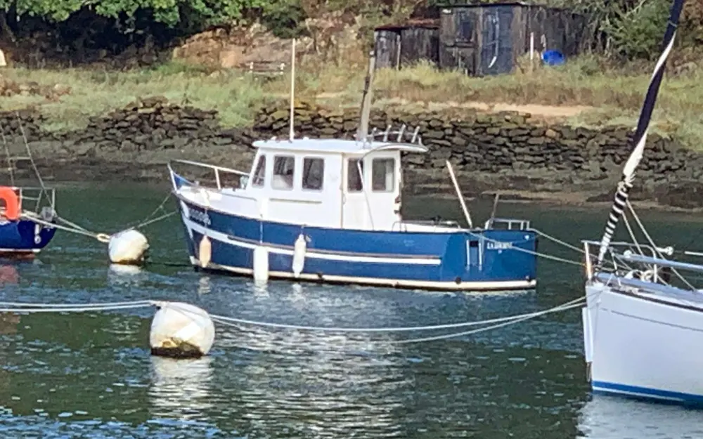 slider 2 Rhea  650