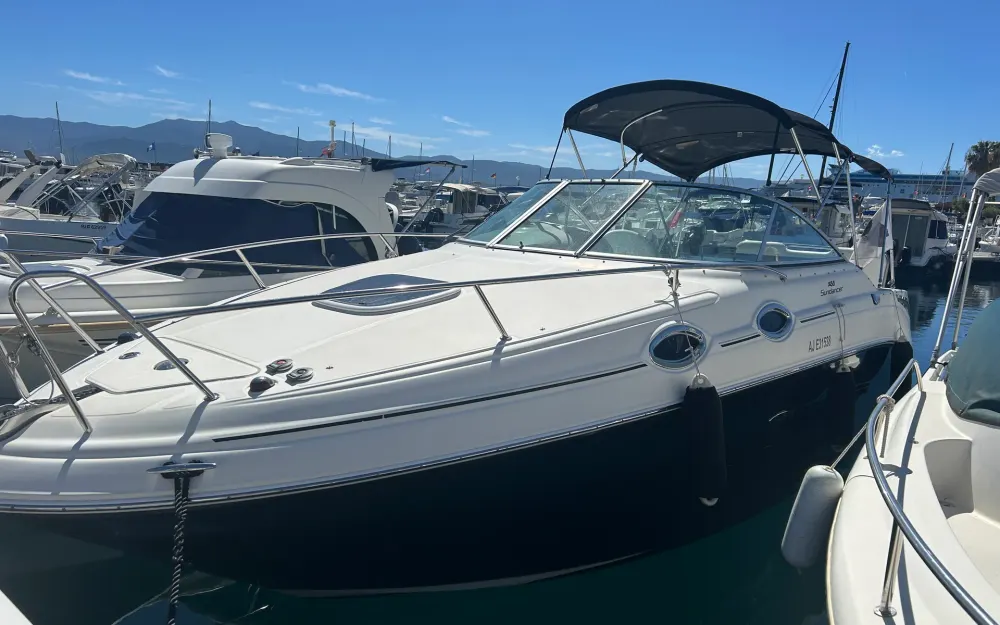 slider 1 Sea Ray  255 Sundancer
