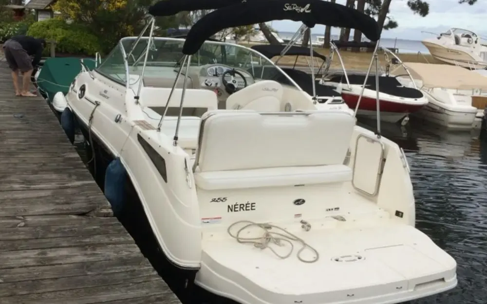 slider 5 Sea Ray  255 Sundancer