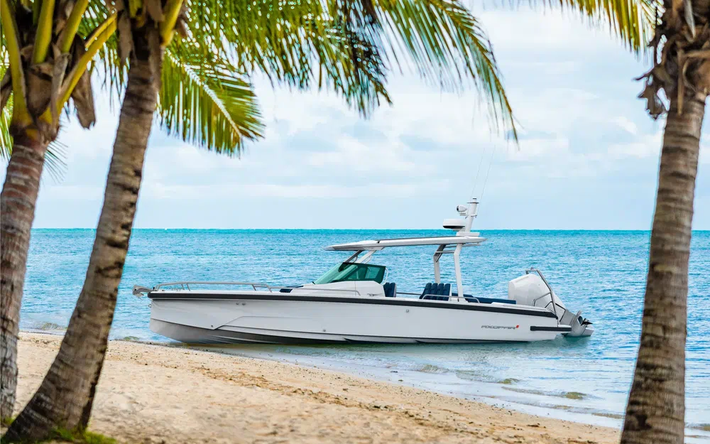 AxoparAxopar 29 Sun Top