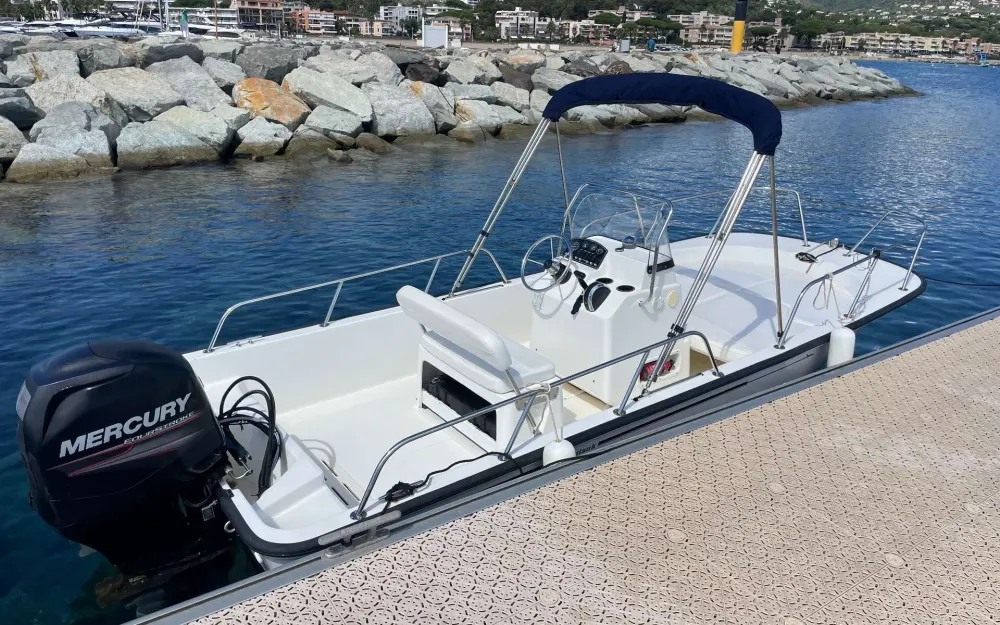 slider 0 Boston Whaler  170 Montauk