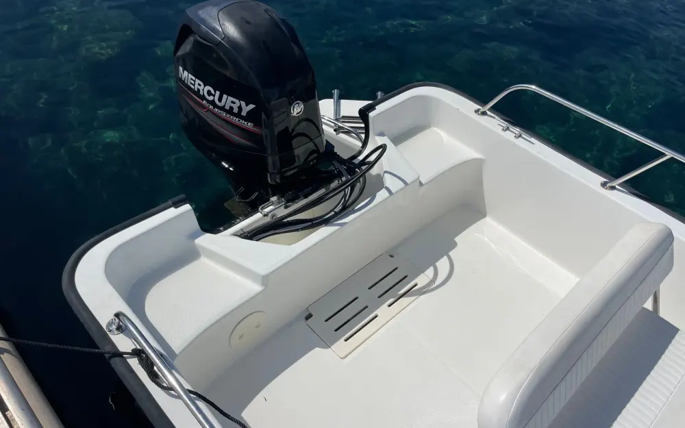 slider 9 Boston Whaler  170 Montauk