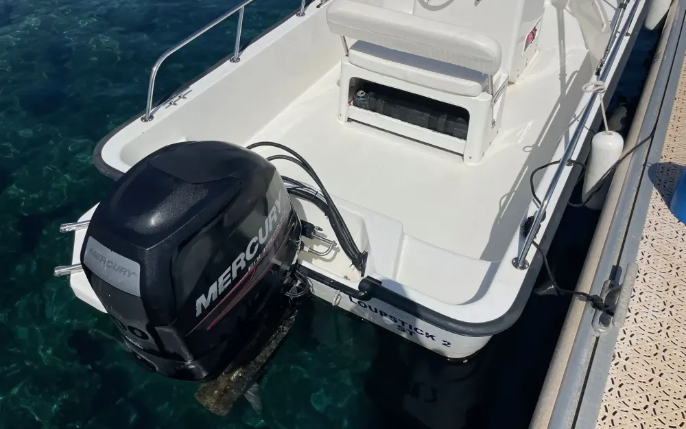 slider 10 Boston Whaler  170 Montauk