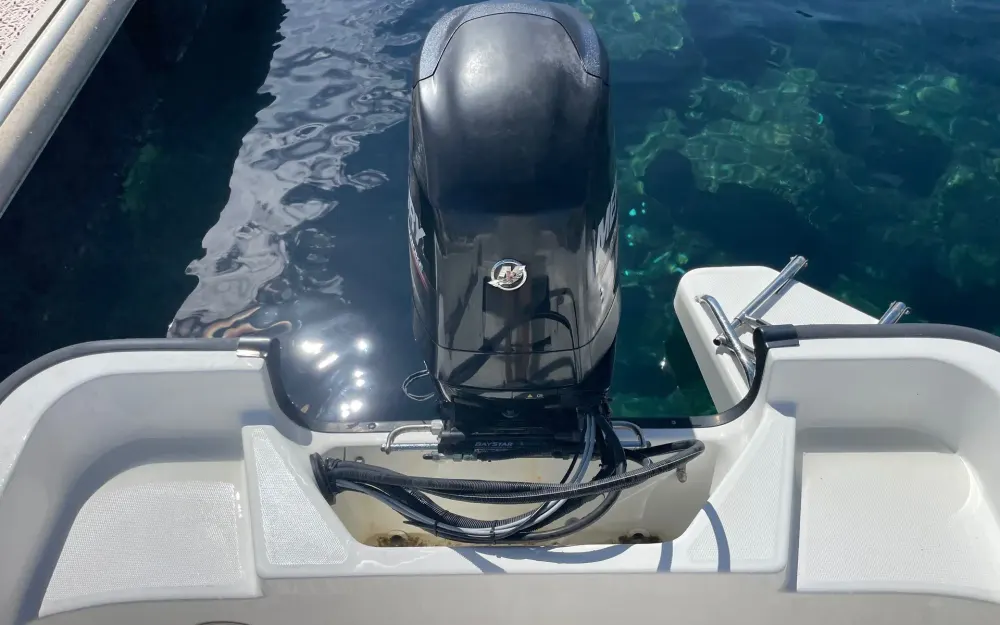 slider 11 Boston Whaler  170 Montauk