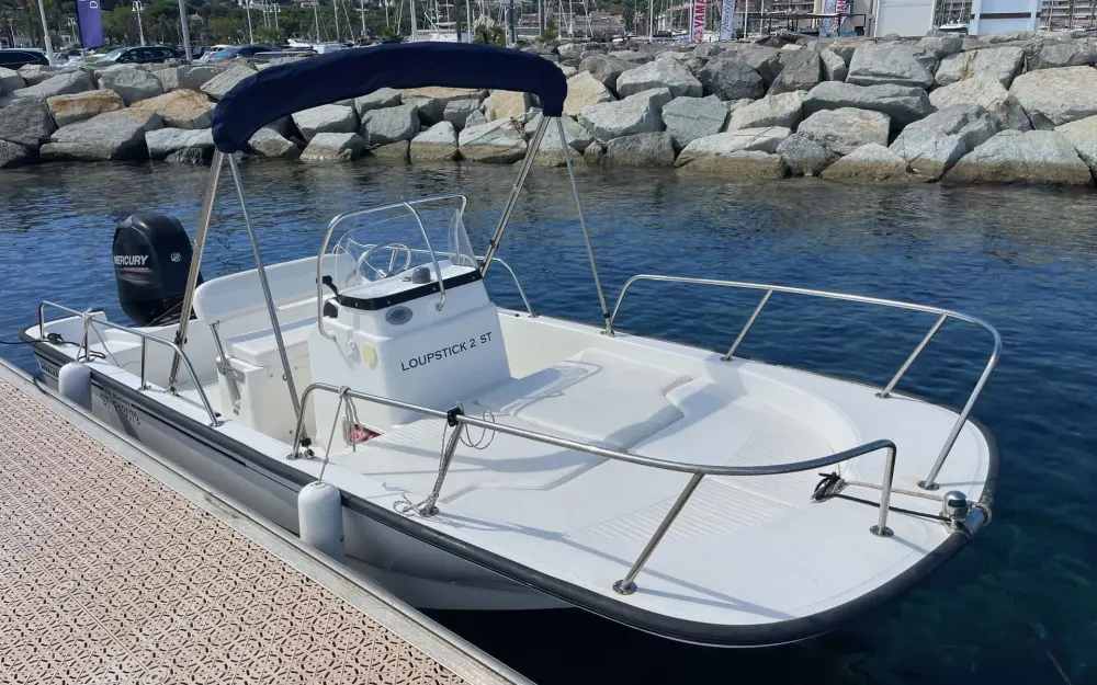 slider 1 Boston Whaler  170 Montauk