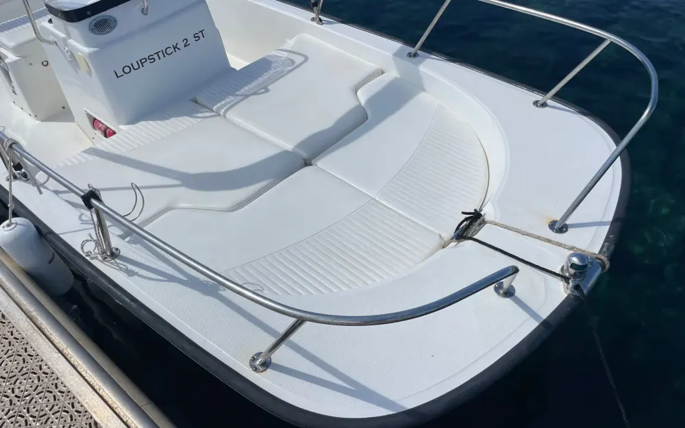 slider 3 Boston Whaler  170 Montauk