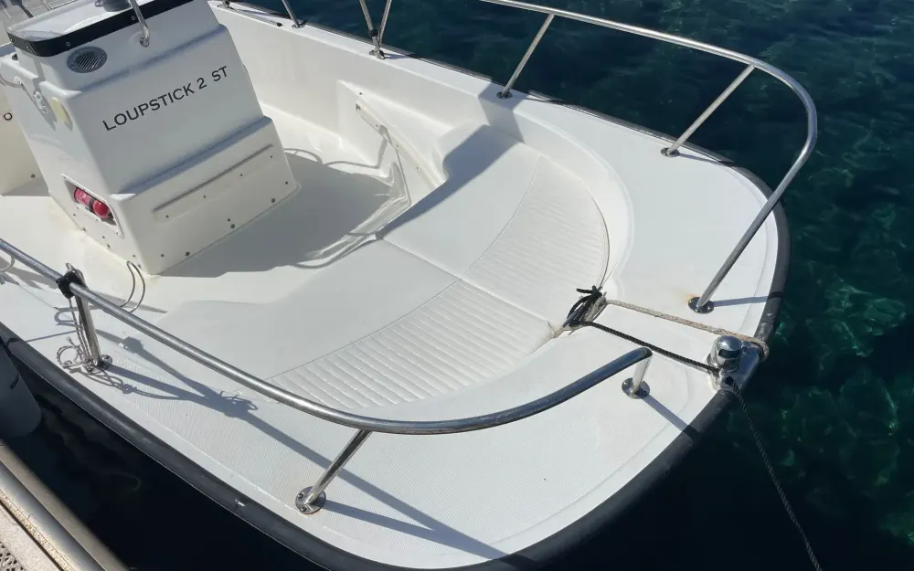 slider 5 Boston Whaler  170 Montauk
