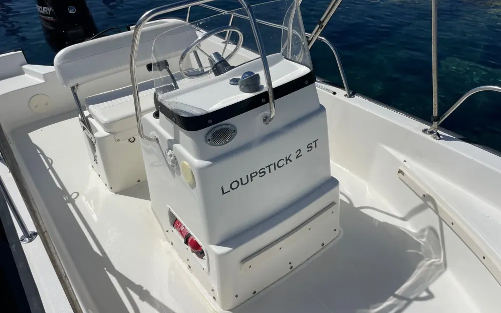 slider 6 Boston Whaler  170 Montauk