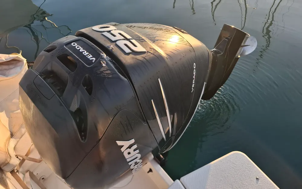 slider 12 Quicksilver Activ 755 Sundeck