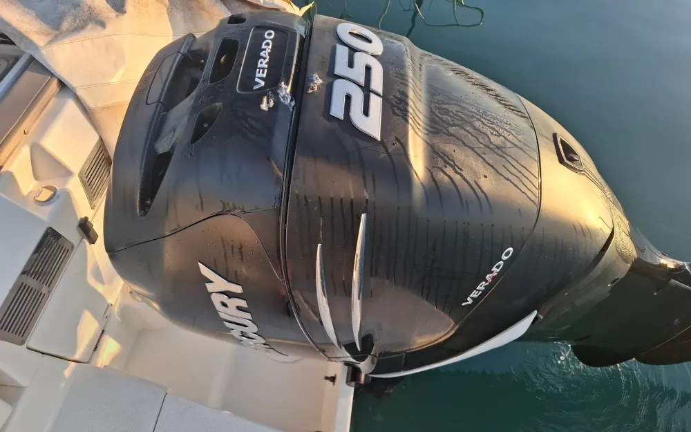 slider 14 Quicksilver Activ 755 Sundeck