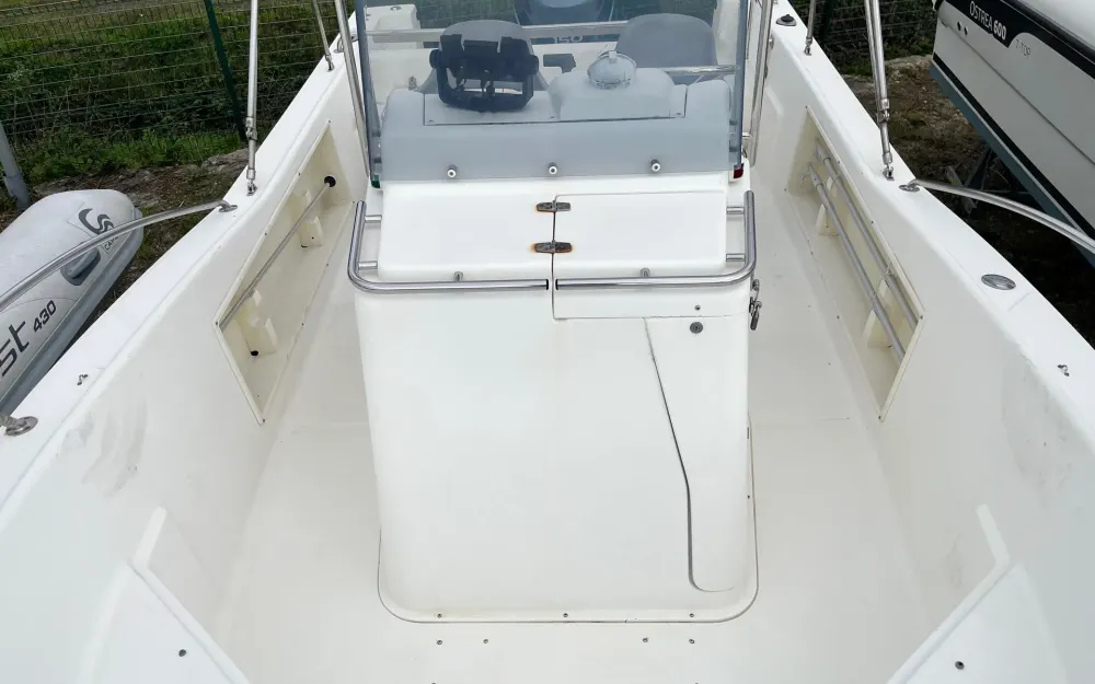 slider 8 Kelt White Shark 205