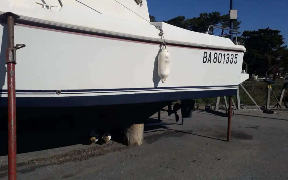 slider 4 Eider Marine Sea Rover 640