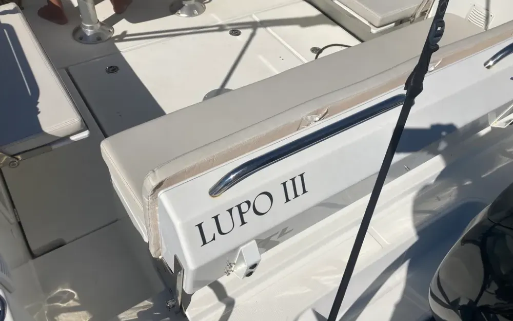 slider 15 Beneteau Flyer 8 SUNdeck