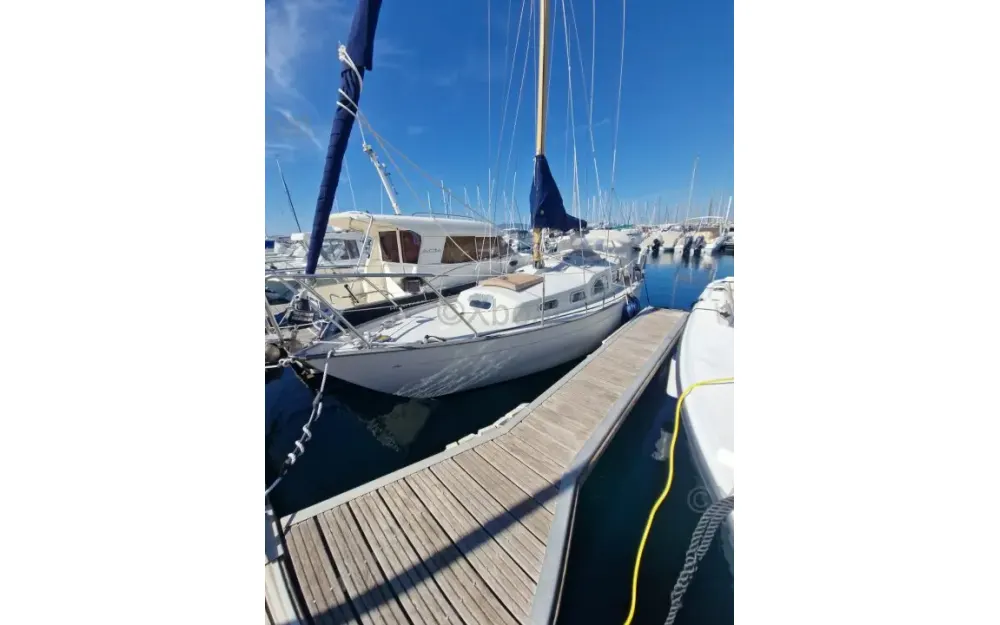 slider 4 Bianca Yachts Bianca 27