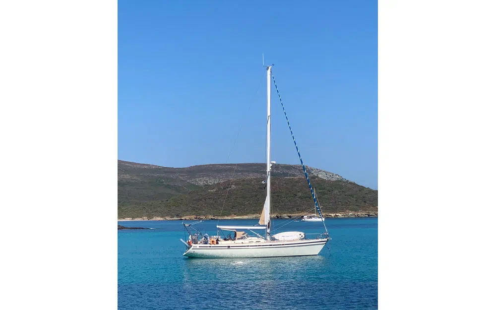 slider 3 Contest Yachts Contest 46