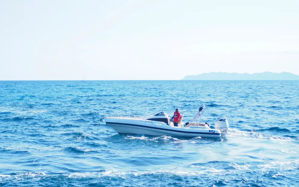 slider 19 Nuova Jolly Prince 28 Sport Cabine