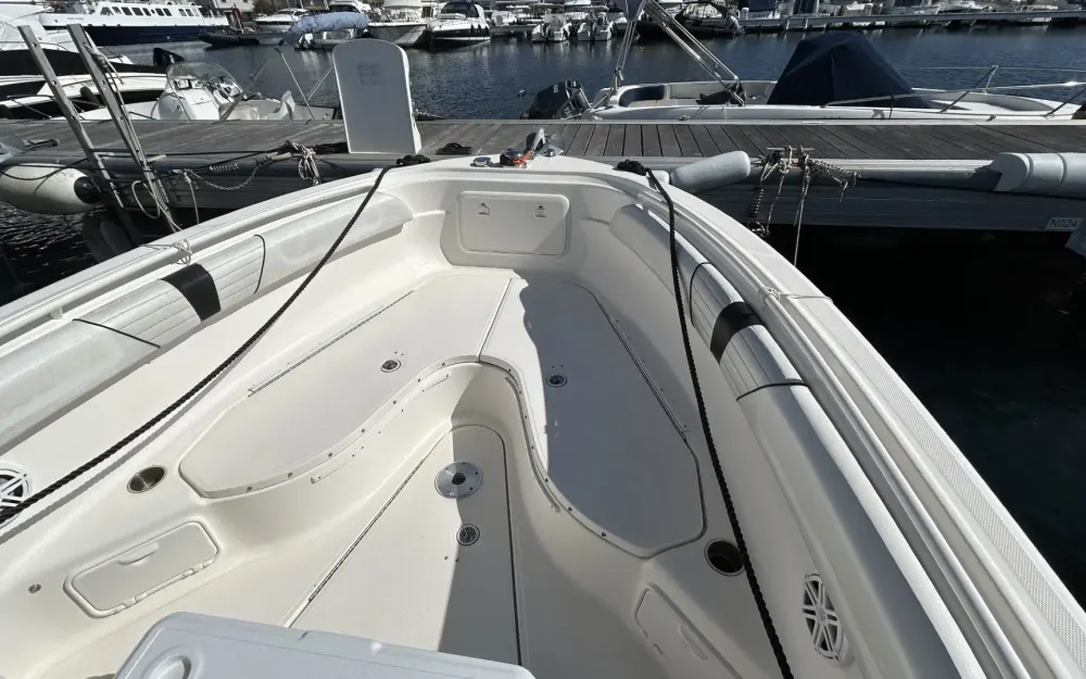 slider 6 Wellcraft Scarab