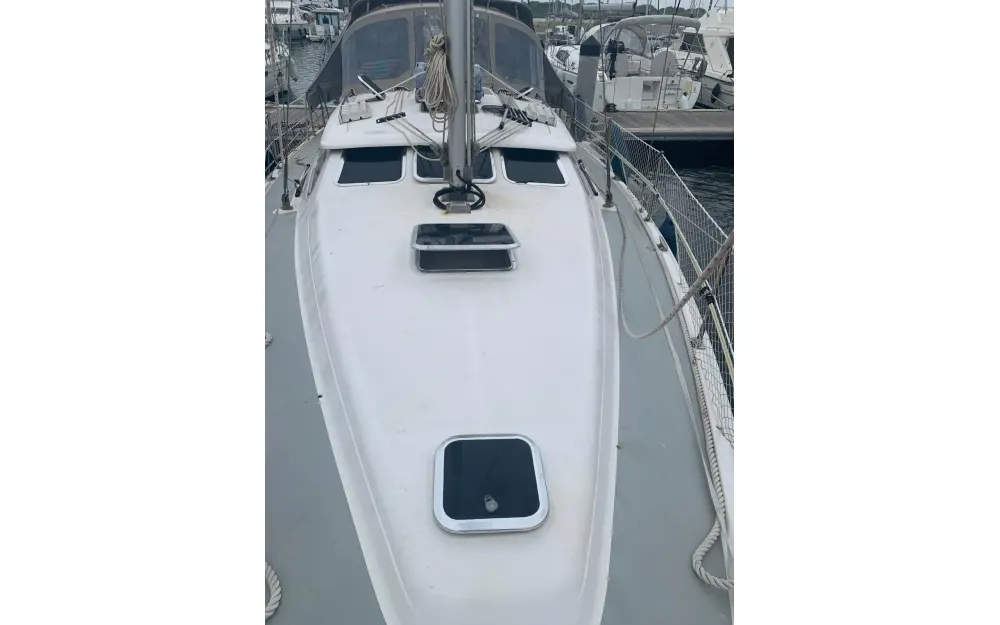 slider 1 Hunter  41 DS