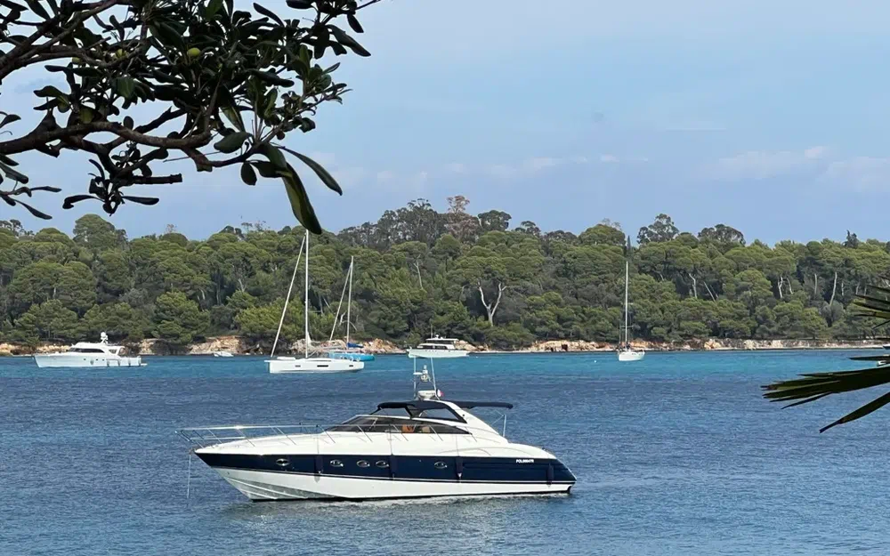 slider 1 Princess V50