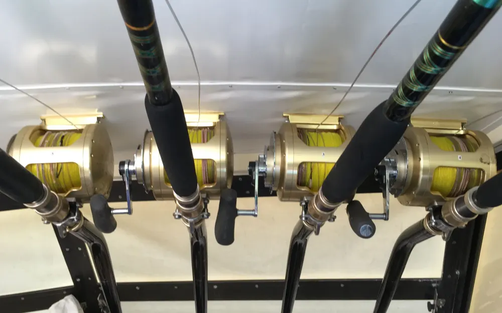 slider 6 Bertram  28