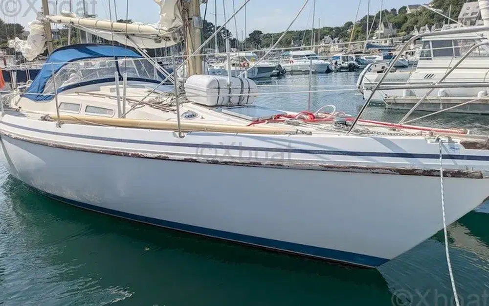 Contest YachtsContest 36