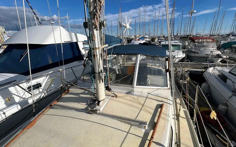 slider 3 Albin Marine MS 82