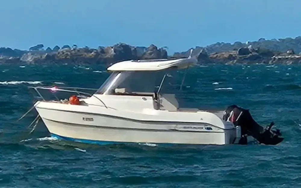 slider 1 Quicksilver  530 Flamingo