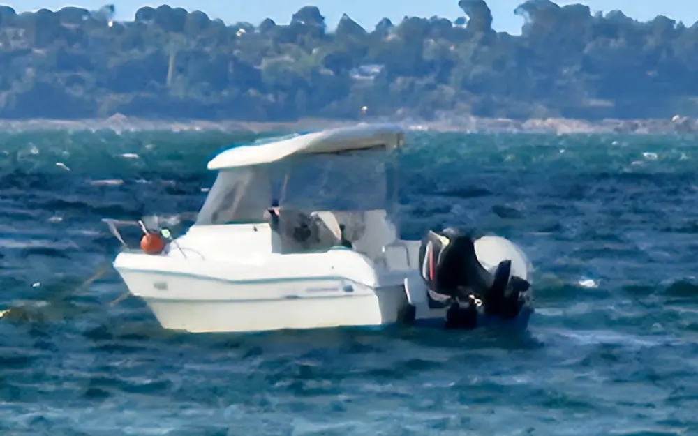 slider 3 Quicksilver  530 Flamingo