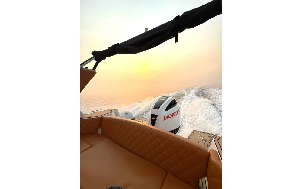 slider 4 Tiger Marine 750 TOP LINE