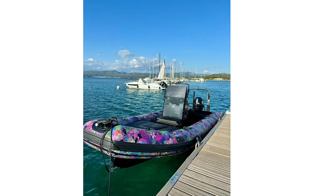 slider 4 Océan Skull Octopus 650