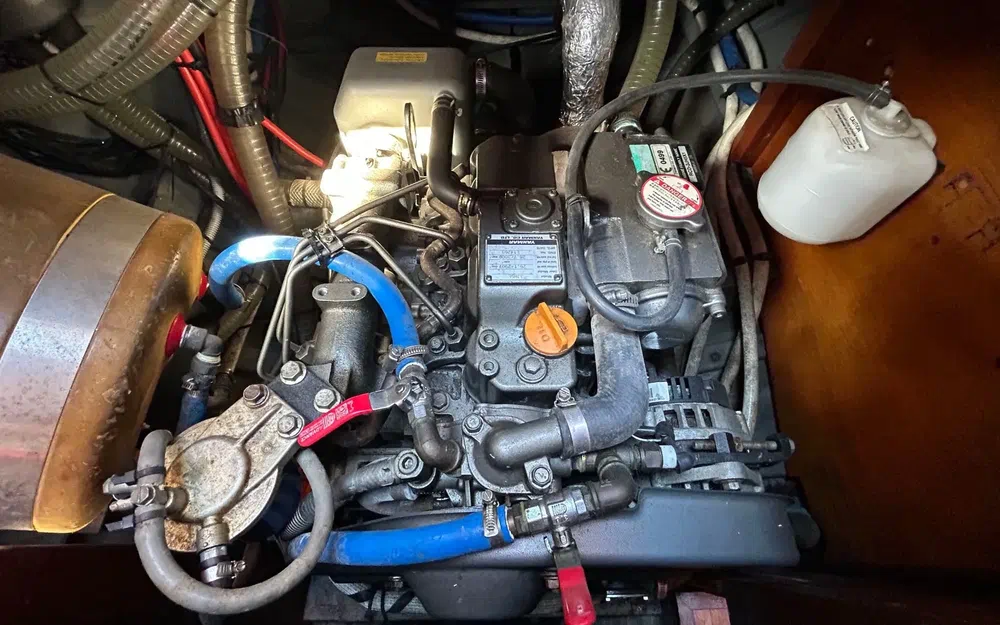 slider 10 Silvestro Yseult