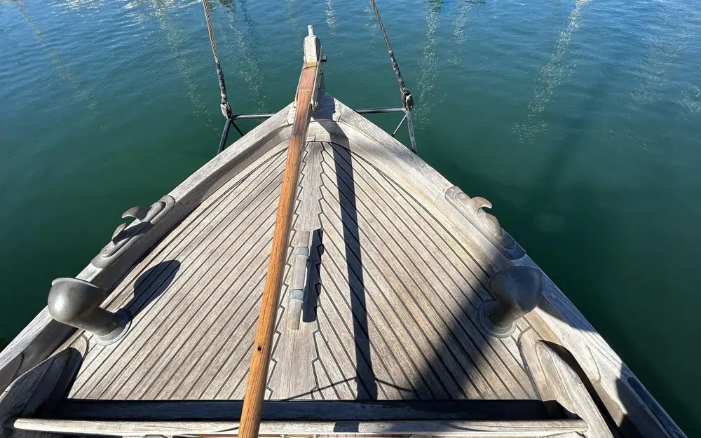 slider 5 Silvestro Yseult