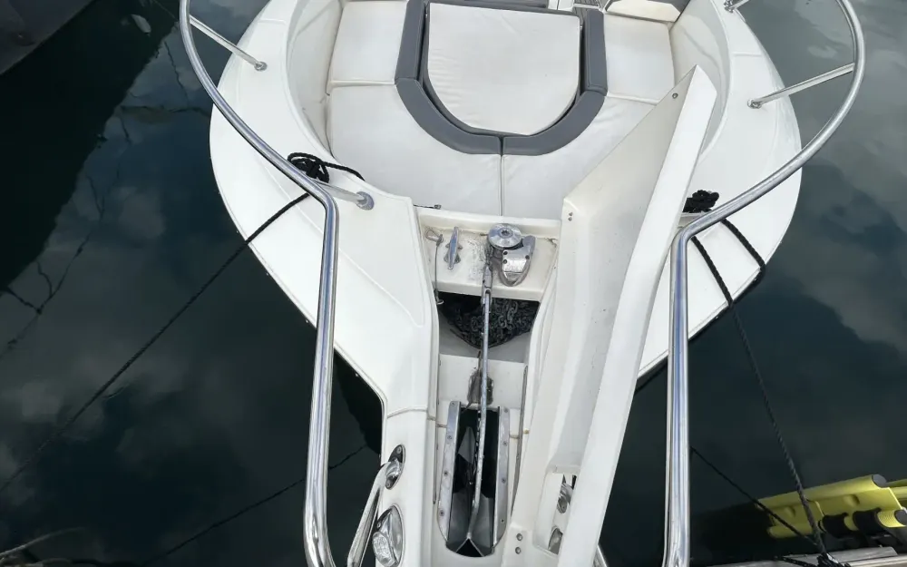 slider 9 White Shark  240 CC