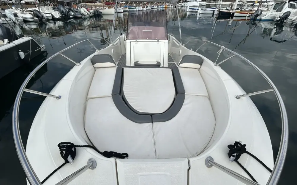 slider 10 White Shark  240 CC