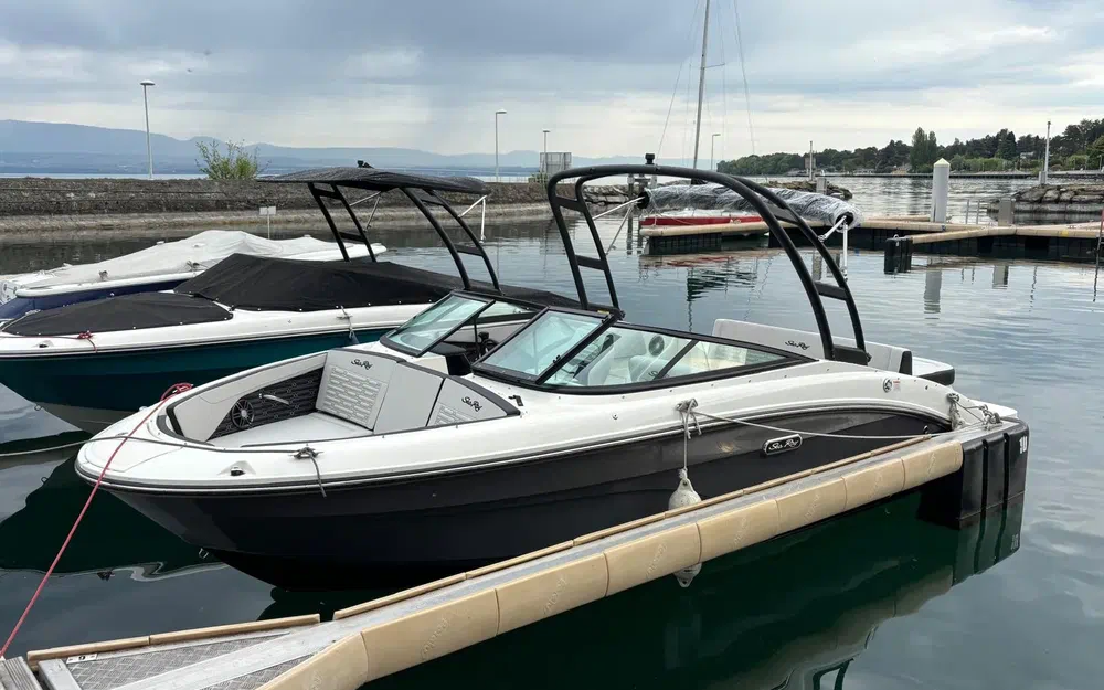 slider 1 Sea Ray 210 SPX
